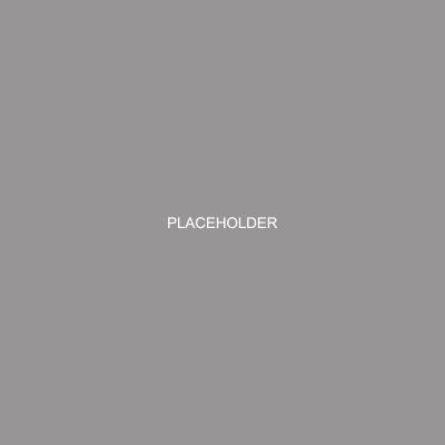 1_Placeholder